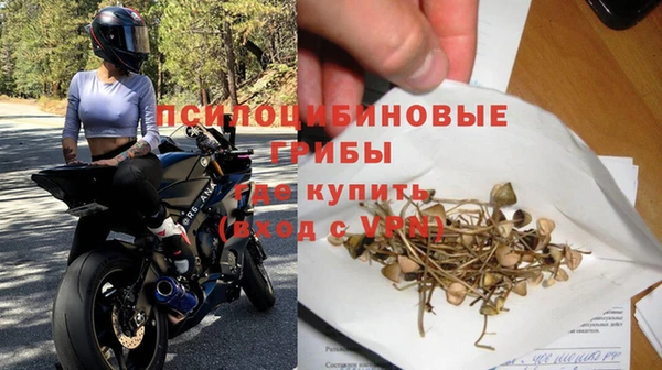 PSILOCYBIN Вязьма