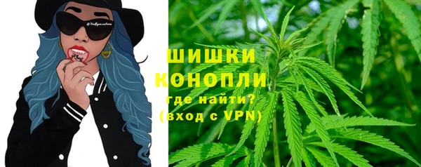 PSILOCYBIN Вязьма